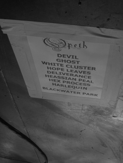 Die Setlist von Opeth