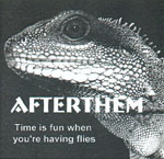 AFTERTHEM: Time Is Fun When You Are Having Flies