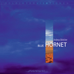 ANDREAS BÖTTCHER: Blue Hornet