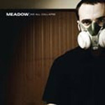 MEADOW: We All Collapse